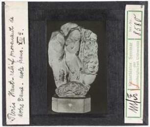 Paris: Notre-Dame, Relief