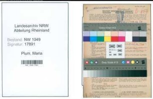 Entnazifizierung Maria Plum , geb. 18.02.1885 (Studienraetin)