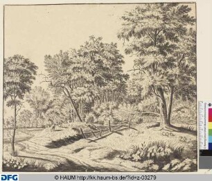 Landschaft mit Landstraße, hohen Bäumen und Hirte mit Schafen