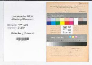 Entnazifizierung Edmund Geilenberg, geb. 13.01.1902 (Ingenieur)