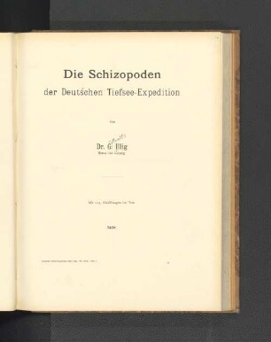 Die Schizopoden der Deutschen Tiefsee-Expedition.