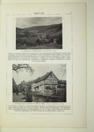 117. Oberschönau im Kanzlersgrunde