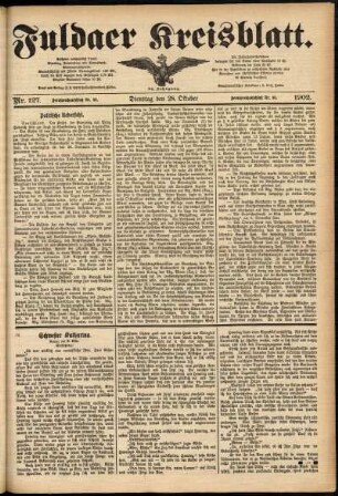 Ausgabe vom Dienstag, den 28. Oktober 1902.