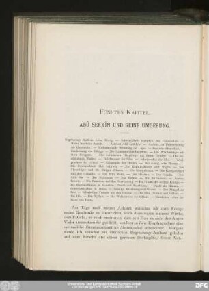 Fünftes Kapitel. Abû Sekkîn Und Seine Umgebung.