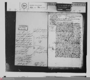 Lehensverhältnisse der an Graf Peter von Holzappel verkauften Esterau und Vogteien Isselbach und Eppenrod