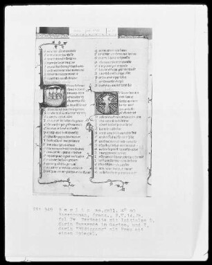 Roman de la Rose & Rosenroman — ---, Folio 7versoBuchseite