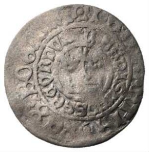 Fundmünze, Prager Groschen, 1471 - 1516