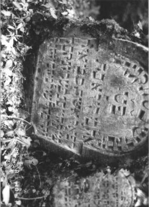 Grabstein 300 (Index: 99799825) Material: Sandstein Zustand: verwittert, Stele nach vorne geneigt Maße HxBxT: 87x61x8 cm Beschreibung: Stele, eingezogener Rundbogenabschluß, Schriftfeld eingetieft: Grabstein 300 (Detailaufnahme)