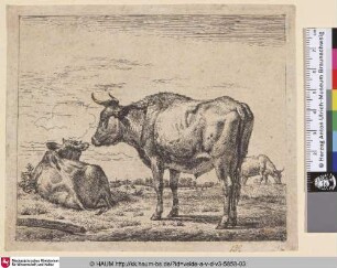 [Stehender Bulle; Standing Bull]