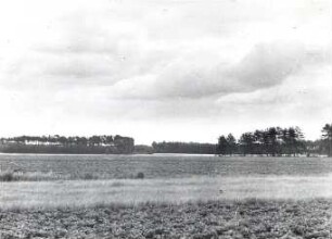 Die Heide bei Nochten : Landschaft - Heide. Heide zwischen Sprey (Sprjowje) und Nochten (Wochozy), in der Nähe vom Zigeunerberg (sorbisch: Cyganska hora).
