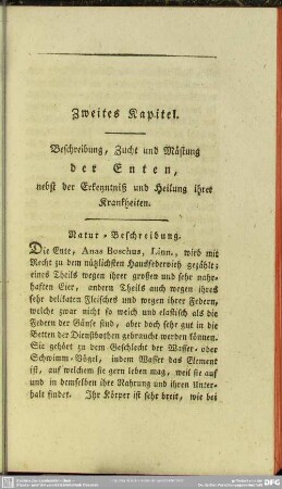 Zweites Kapitel. Beschreibung, Zucht und Mästung der Enten, nebst der Erkenntniß und Heilung ihrer Krankheiten