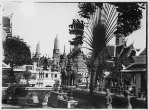 Tempel in Bangkok : Bangkok. In einer Tempelanlage, im Vordergrund Baum der Reisenden, 1908/1913