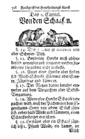 Das 2. Capitel. Von den Schaafen.