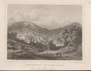 Totalansicht von Baden-Baden