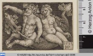 Triton und Nereide