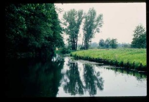 Spreewald 26.7.84.