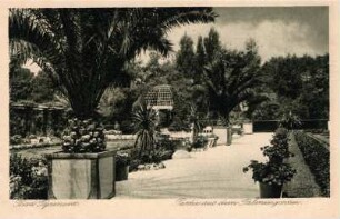 Palmengarten im Kurpark