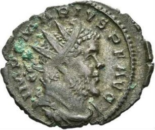 Marius