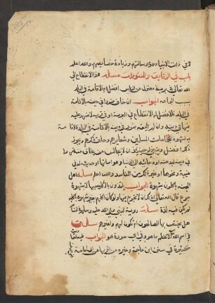 al- Manṯūrāt wa-ʿuyūn al-masāʾil al-muhimmāt