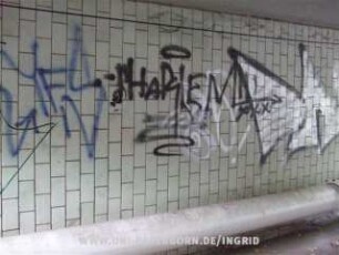 HARLEM"' | yo XX