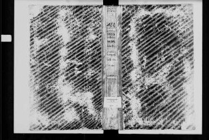 Stein am Kocher, israelitische Gemeinde: Standesbuch 1811-1867