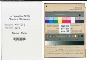 Entnazifizierung Peter Steiner , geb. 26.08.1914 (Arzt)