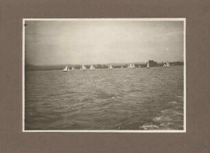 Segelboote auf dem Bodensee