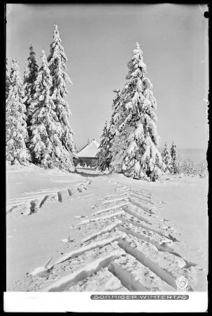 Zinnwald-Georgenfeld, sonniger Wintertag am Lugsteinhof