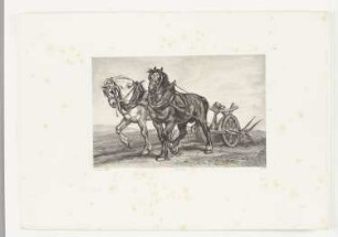 Zugpferde, Tafel 111 aus: "Les artistes contemporains", Band 6, Paris 1851