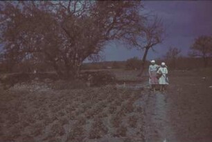 Zweiter Weltkrieg. Sowjetunion. Zur Einquartierung (wahrscheinlich in der Ukraine). Zwei Bauernmädchen mit Balalaika auf einem Feldweg