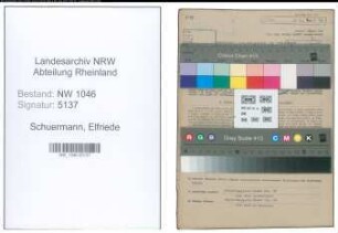 Entnazifizierung Elfriede Schuermann , geb. 28.06.1913 ()