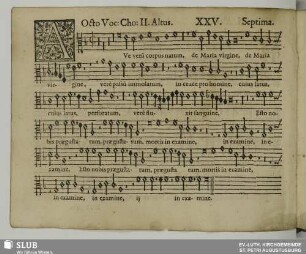 XXV. Ave verum corpus