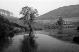 Geisingen: Donau im Herbstlicht