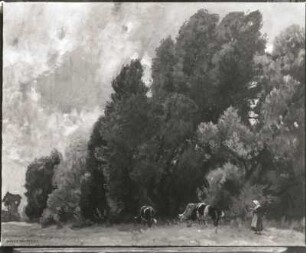 Baumgruppe mit Rindern : Baumgruppe mit Rindern. Gemälde (vor 1921; E. Bracht)