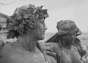 Pantherquadriga