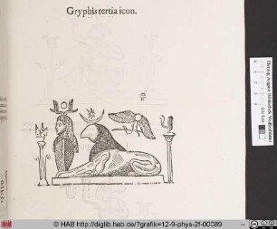 Gryphis tertia icon.