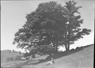 Schauinsland, oberster Hof von Hofsgrund