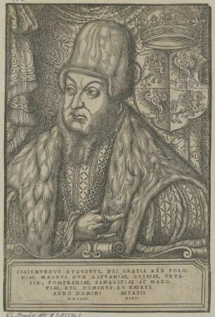 Bildnis des Königs Sigismund August II. von Polen