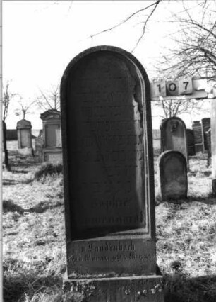 Grabstein 107 (Index: 100116419) Material: Sandstein Zustand: verwittert mit Textverlust Maße HxBxT: 175x57x20 cm Beschreibung: doppelt aufgesockelte Stele mit Rundbogenabschluß und eingetieftem Schriftfeld, weiteres Schriftfeld am oberen Sockel: Grabstein 107