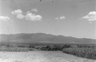 In der Ebene von Cobbo : Blick in eine ebene Savannenlandschaft mit Durrah-Feld