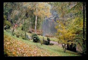 Waldfrdhf. Heerstr. 13.10.77.