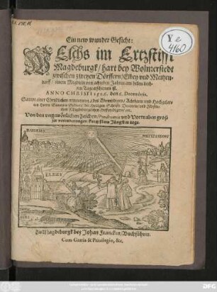 Ein new wunder Gesicht:|| WElchs im Ertzstifft || Magdeburgk/ hart bey Wolmerstedt || zwischen zweyen Dörffern/ Elbey vnd Meitzen=||dorff/ einem Megdlein von achtzehen Jahren am hellen liech=||ten Tage erschienen ist.|| ANNO CHRISTI 1596. den 6. Decembris.|| Sampt einer Christlichen erinnerung ... || Herrn Simonis Gedicci/ der Heiligen Schrifft Doctoris ... || Von den vngewönlichen Zeichen/ Prodromis vnd Vortraben gros=||ser verenderungen/ kurtz fürm Jüngsten tage.||