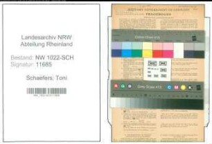 Entnazifizierung Toni Schaefers , geb. 26.11.1910 (Stenotypistin)