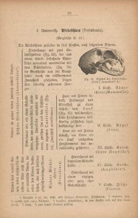 I. Unterreich. Wirbelthiere (Vertebrata)