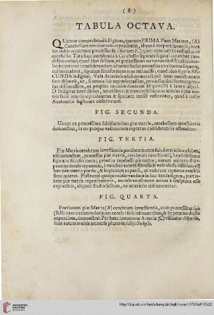 Tabula octava