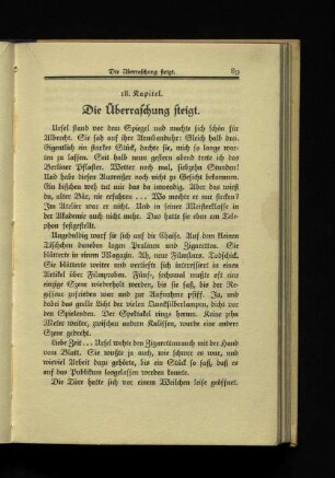 18. Kapitel. Die Überraschung steigt.