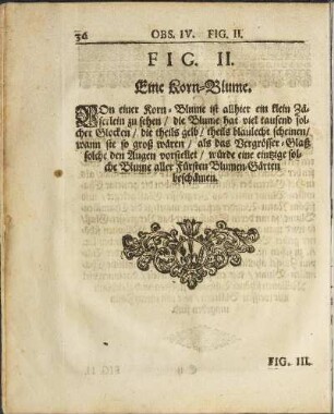 Fig. II. Eine Korn-Blume.