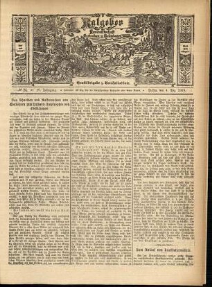 Ausgabe vom Sonntag, den 04. Dezember 1910.
