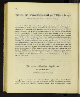 Methode, das Cyrtopodium Andersonii zum Blühen zu bringen.