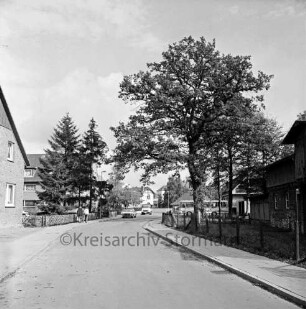 Straße Neuhof: hinten quer Mahlmannstraße: Vorgärten, Bäume, rechts Maschendrahtzaun: Autos, auf Gehweg zwei Personen: hinten rechts Reisebus
